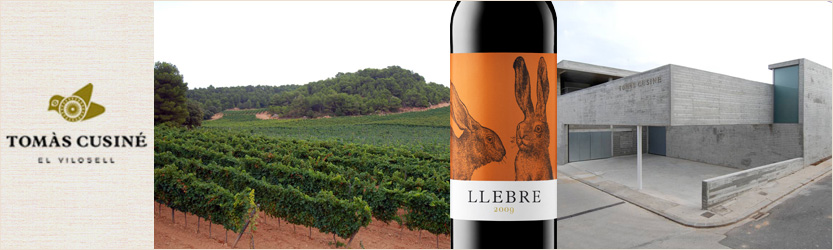 Llebre 2013