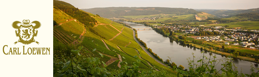 Chateau Guiot 2012
