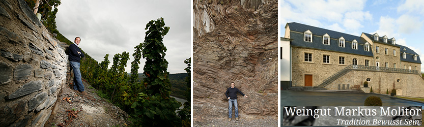 Weingut Molitor