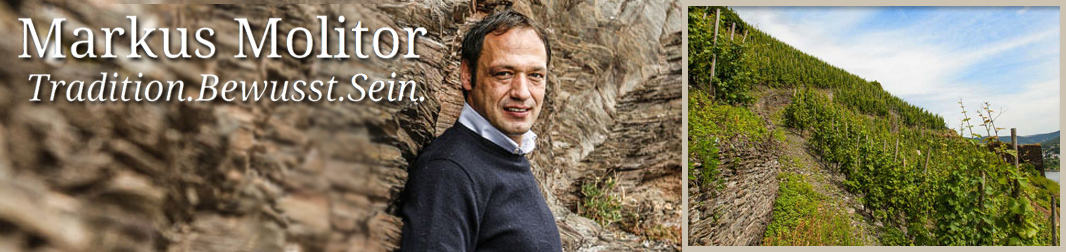 Markus Molitor Mosel Schiefersteil Haus Klosterberg