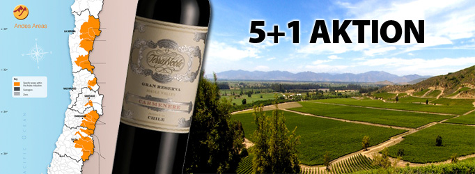 Carmenere 2012 Terra Noble