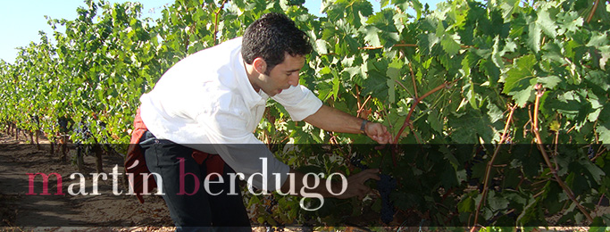 Martin Berdugo