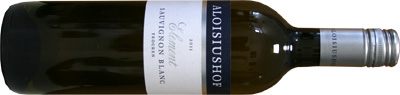 Weingut Aloisiushof - Weinberge