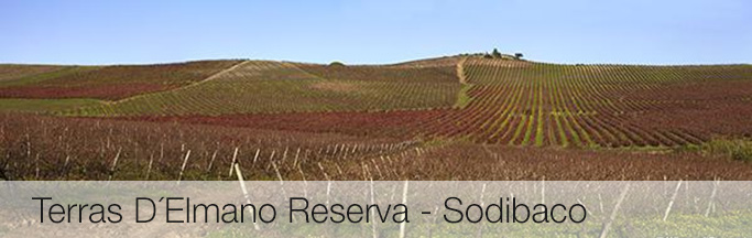 Header: 2010 Terras D´Elmano Reserva - Sodibaco