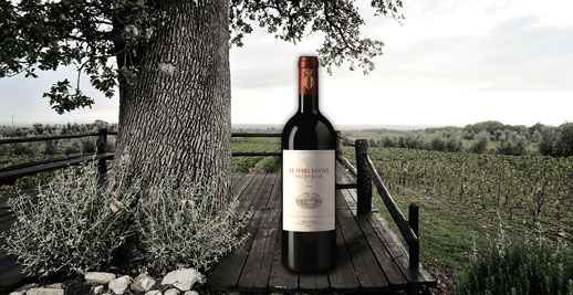 2011er Le Serre Nuove - Tenuta dell Ornellaia - 0,75l