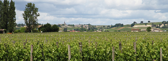 Bockstein