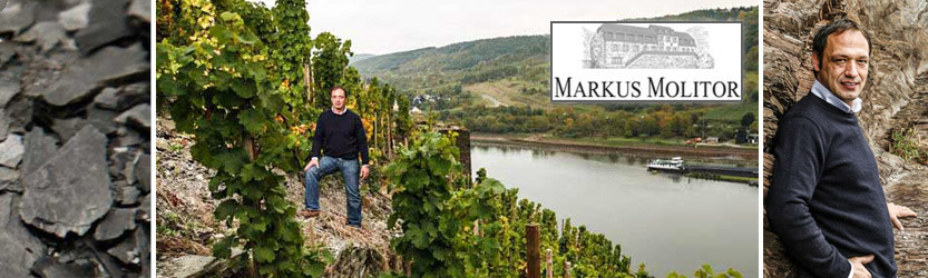 Markus Molitor